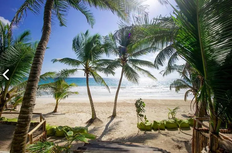 Beachfront Villas In Tulum Beach- Best Location! 0*,  מקסיקו