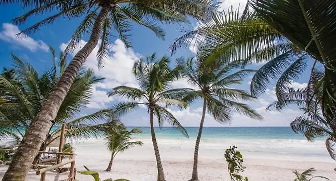 Beachfront Villas In Tulum Beach- Best Location!