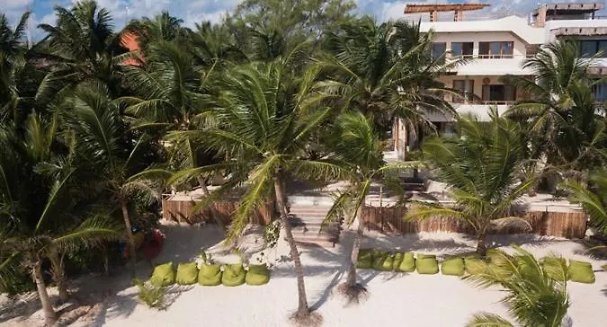 Beachfront Villas In Tulum Beach- Best Location!